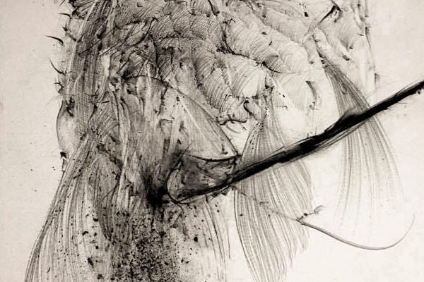 15590467_10210643512098264_1853792505660315093_n