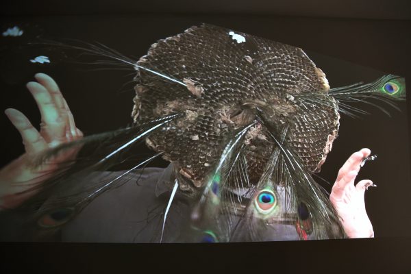 37 What! Art though like the Adder waxen and deaf_ Rafael Perez Hernando Gallery Madrid Video Instalaltion in two channels