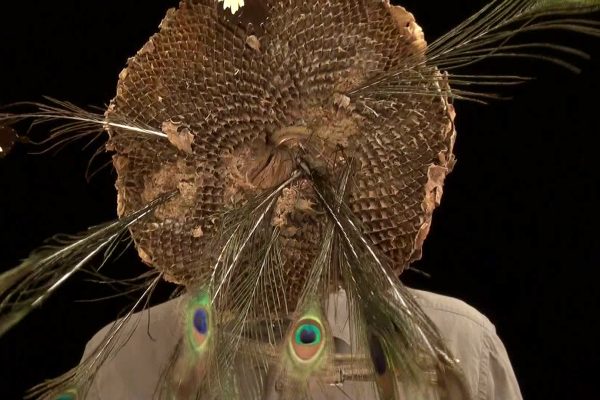 43 What! Art though like the Adder waxen and deaf_