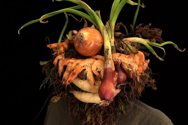 8 What! Art though like the Adder waxen and deaf_