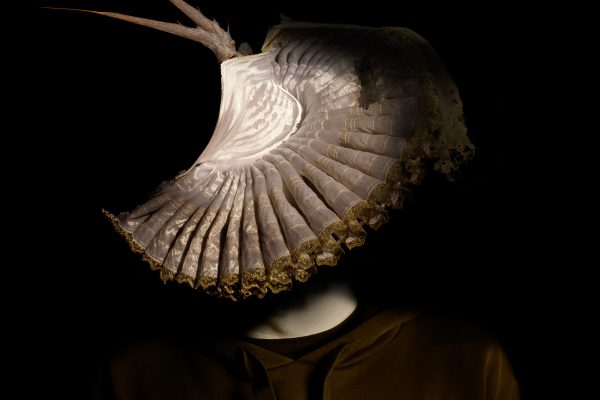 FilipposTsitsopoulos-14