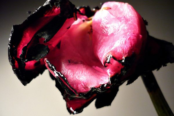 FilipposTsitsopoulos-3