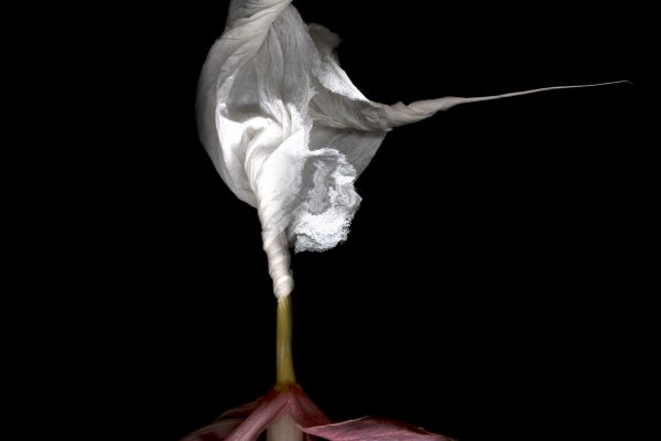 FilipposTsitsopoulos-38