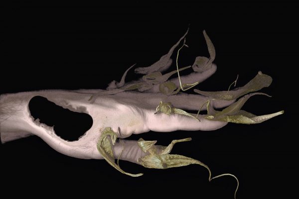 FilipposTsitsopoulos-62