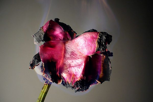 FilipposTsitsopoulos-65