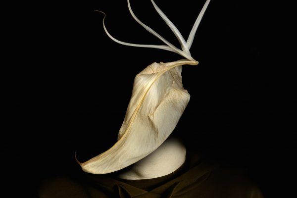 FilipposTsitsopoulos-7