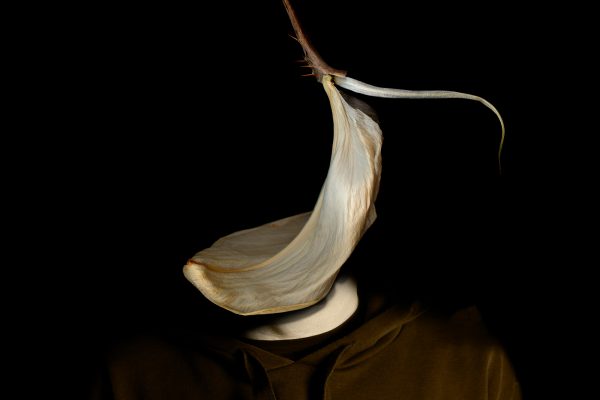 FilipposTsitsopoulos-8